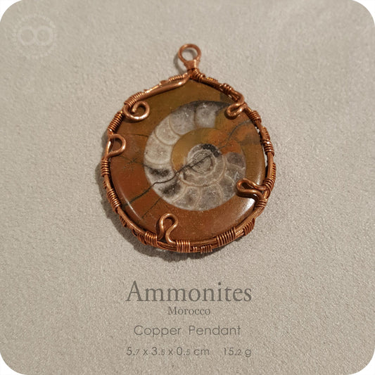 Ammonites ✦ 菊石Copper Pendant- H229