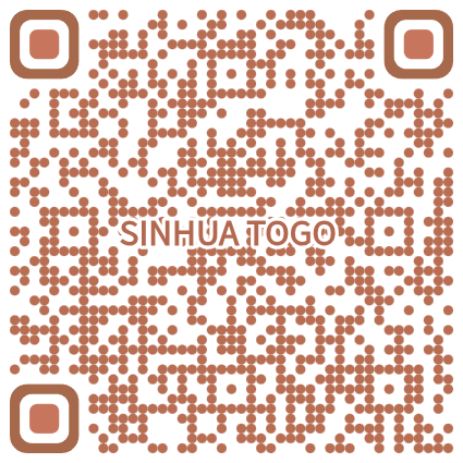 SINHUA TO GO 新化圖集隊