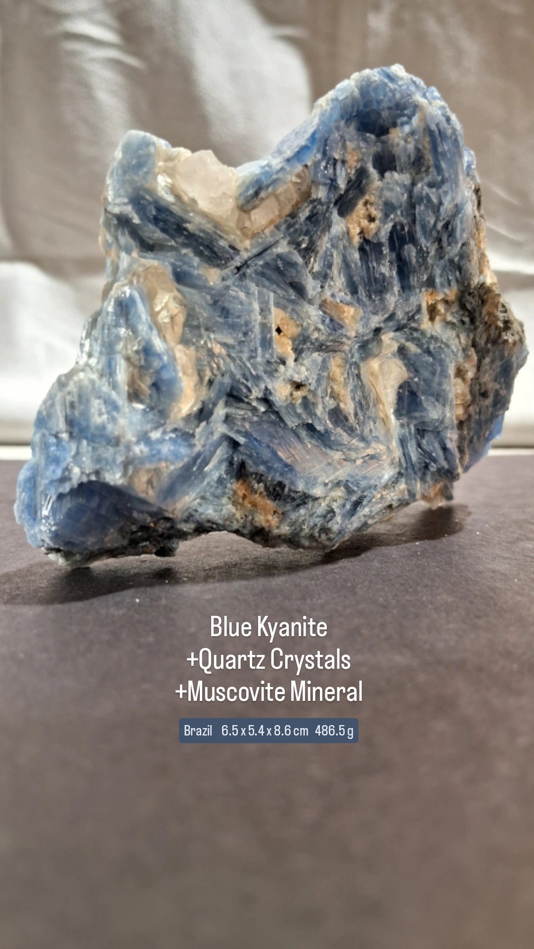 星紀圖 ✹ Kyanite + Quartz + Muscovite Mineral 藍晶石+石英雲母礦共生[ Ky8 ]