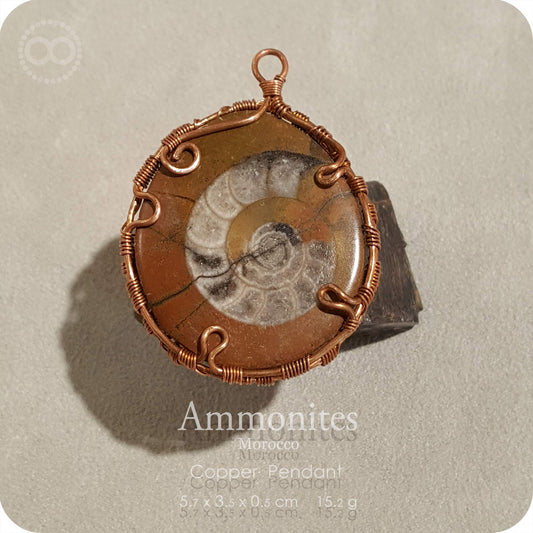 Ammonites ✦ 菊石Copper Pendant- H229