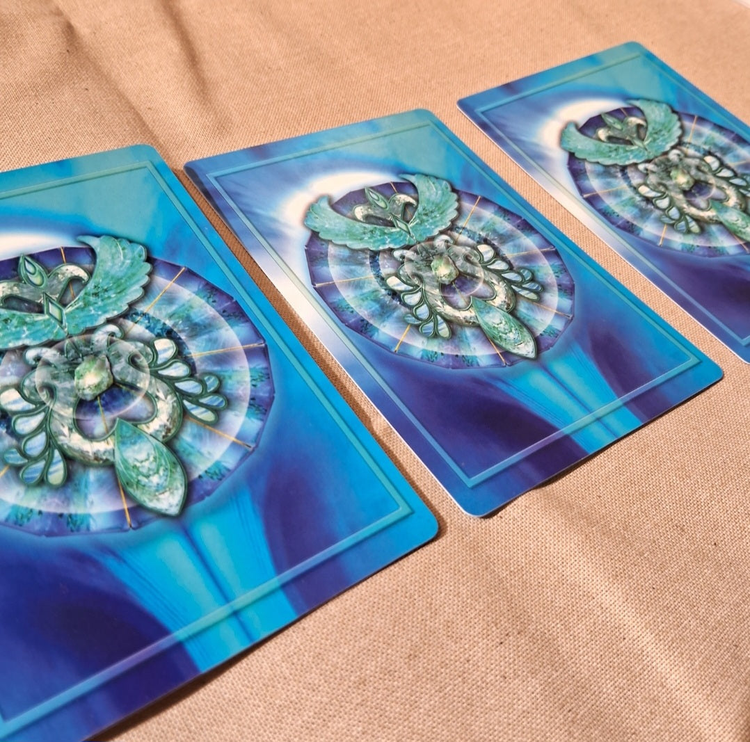 星球 ✦ 體驗 ｜預約