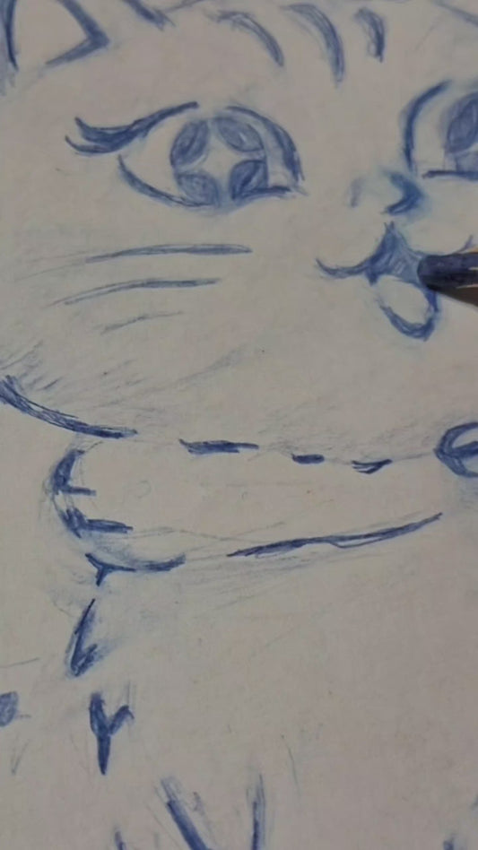 星紀貓飛行提袋 ✦ 星球草木染 Space Travel Cat ✦ Natural Dyed Cotton Bag