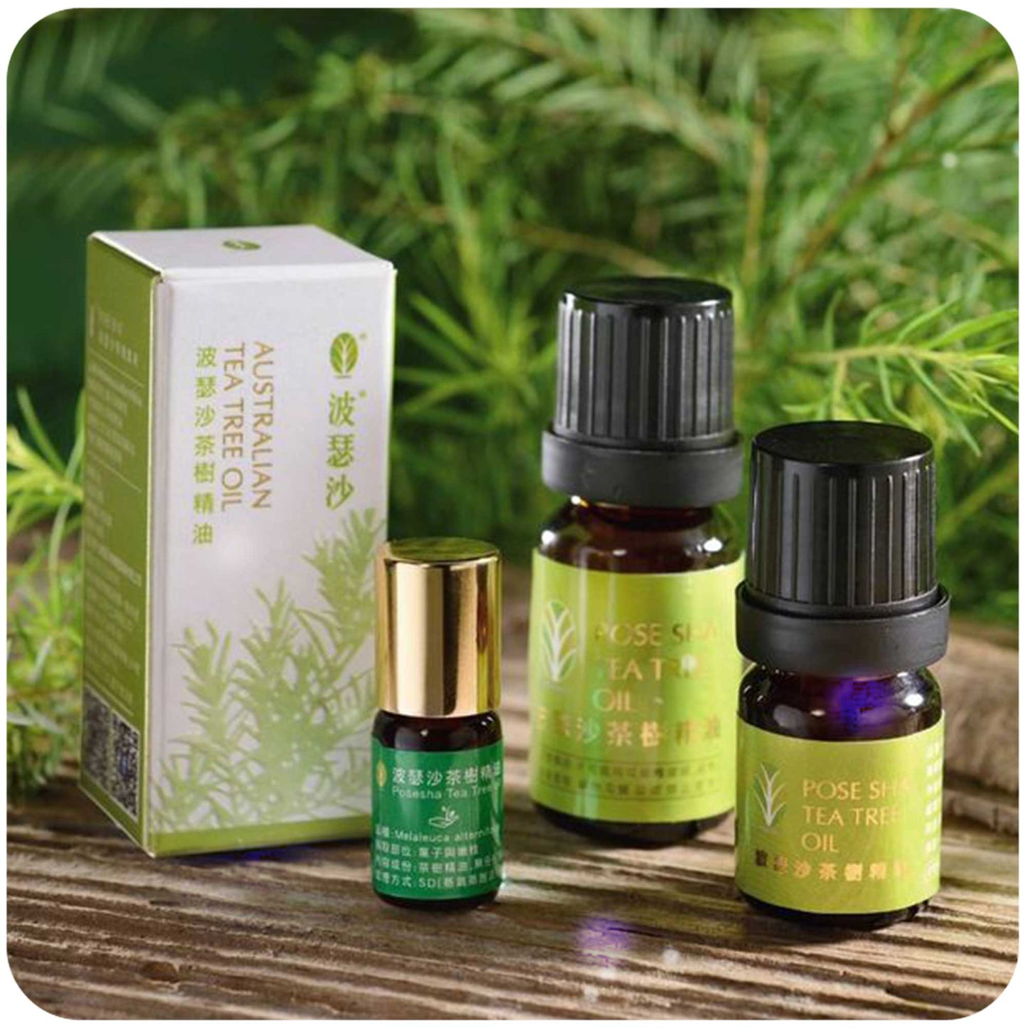 Parfümiertes Armband Planet Peruanisches Heiliges Holzduftarmband-HPB207