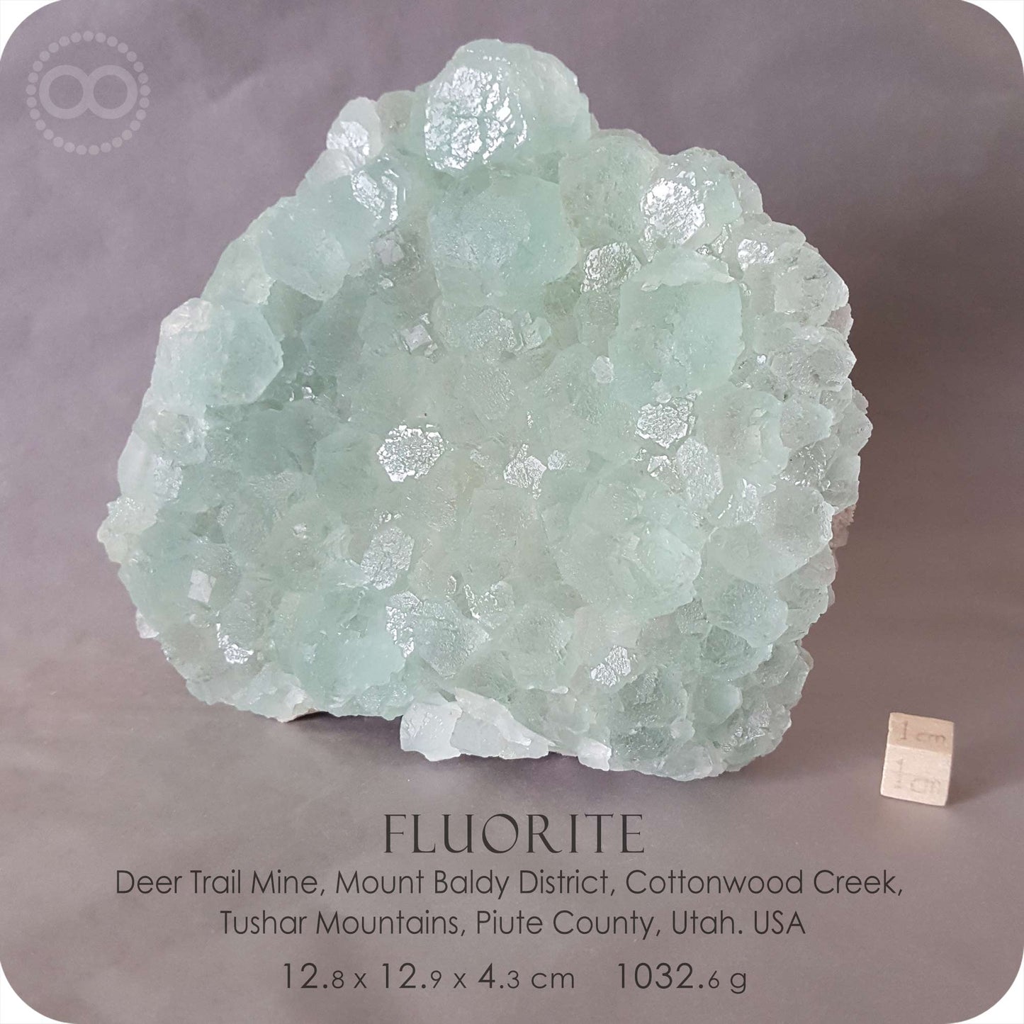 星紀圖 ♦ 螢石 :: 薄荷綠 螢石晶簇 :: 微礦損 Fluorite [ Fluo26 ]