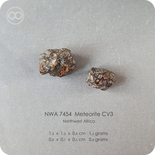 星紀圖 ♦ 完整碳質球粒 CV3 隕石 NWA 7454 Meteorite [ M16 ]
