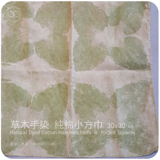 草木手染 ∞ 純棉小方巾 Handkerchiefs & Pocket Squares  NDCHS - 10