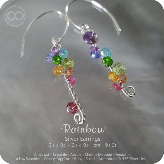 Rainbow Chakras Silver Earrings - H170