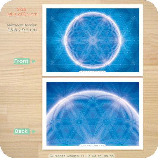 曼陀羅圖卡 MANDALA Cards nO.8