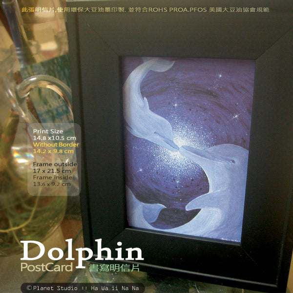 海豚明信片 Dolphin Postcards nO.9